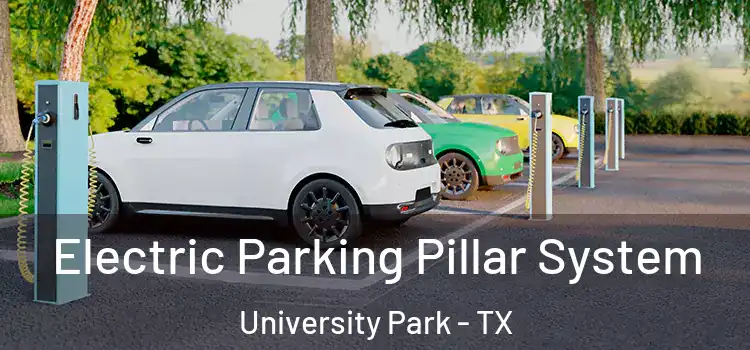 Electric Parking Pillar System University Park - TX