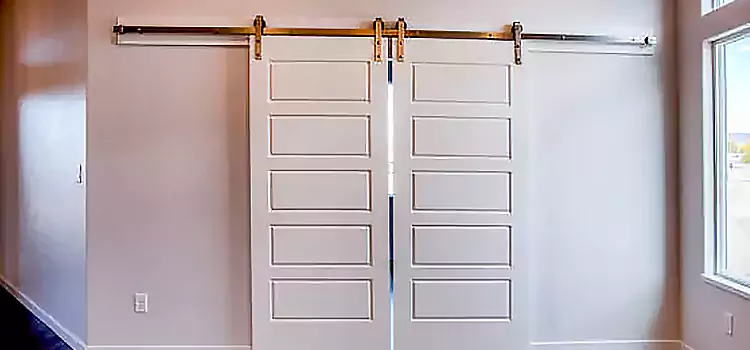 Glass Barn Door with Installation Hardware Kit University Park