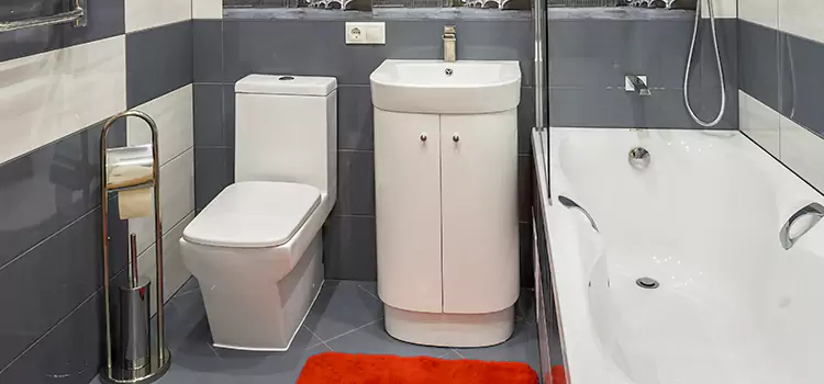 Hansgrohe Shaving Mirror University Park